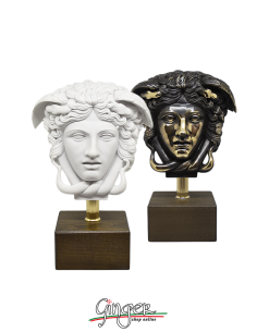 Medusa's head - 11.4 in. (29 cm) - natural white or with...