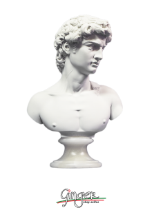 David by Michelangelo - bust with alabaster base - 10.6 in. (27 cm) or 12.6 in. (32 cm)