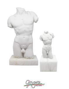 Thorax of Michelangelo's David with alabaster base