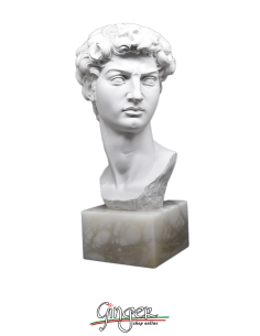 Michelangelo' David  - 11.8 in. - head with alabaster base