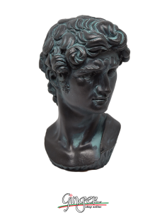 David - the head 6.7 in. (17 cm) -  aged bronze color