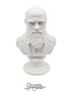 Charles Darwin - busto 15 cm