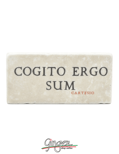 Fridge Magnet, René Descartes, Cogito, Ergo, Sum - Museum-webshop