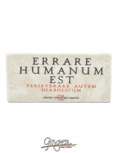 Calamita in marmo - Errare humanum est (Commettere errori è umano)