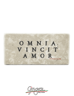 "New" - Magnet in real raw Italian marble - Omnia vincit...