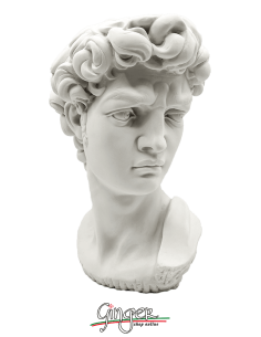 David - the head 11,4 in (29 cm) - natural white