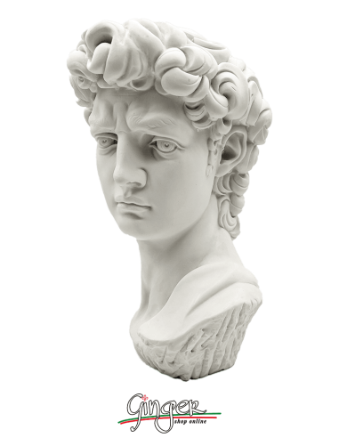 11.8 inch Tall David Bust Greek Roman Statues Sculptures for Home