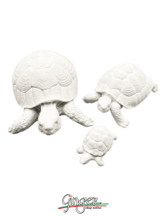 copy of "Lucky charm": the Turtle