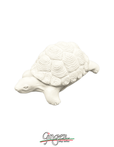 copy of "Lucky charm": the Turtle